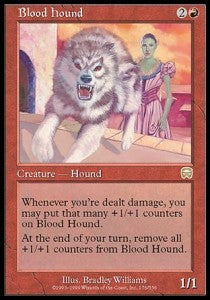 Blood Hound - Mercadian Masques (Rare) [MMQ-176]
