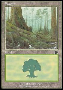 Forest (V.2) - Mercadian Masques (Land) [MMQ-348]