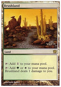 Brushland - Ninth Edition (Rare) [9ED-319]