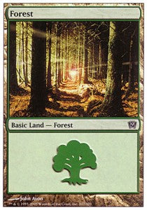 Forest (V.1) - Ninth Edition (Land) [9ED-347]