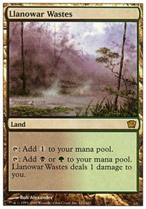 Llanowar Wastes - Ninth Edition (Rare) [9ED-322]