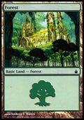 Forest (V.3) - Ravnica: City of Guilds (Land) [RAV-305]