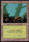 Forest (V.1) - Foreign Black Bordered (Land) [DTL-284]