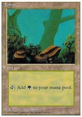 Forest (V.2) - Introductory Two-Player Set (Land) [IBS-19]