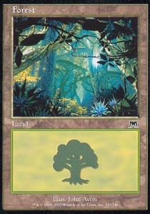 Forest (V.1) - Onslaught (Land) [ONS-347]