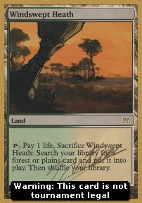 Windswept Heath - WCD 2004: Julien Nuijten (Special)