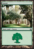 Forest (V.2) - Return to Ravnica (Land) [RTR-271]