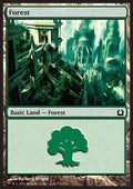 Forest (V.5) - Return to Ravnica (Land) [RTR-274]