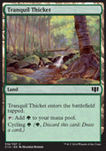 Tranquil Thicket - Commander 2014 (Common) [C14-316]
