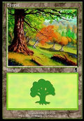 Forest (V.3) - Odyssey (Land) [ODY-349]