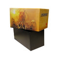 Amonkhet: Empty "Fat Pack Bundle" Box - Amonkhet