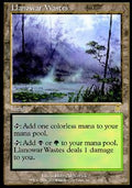 Llanowar Wastes - Apocalypse (Rare) [APC-141]