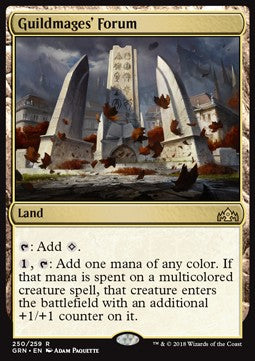 Guildmages' Forum - Guilds of Ravnica (Rare) [GRN-250]
