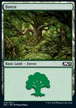 Forest (V.1) - Core 2021 (Land) [M21-272]