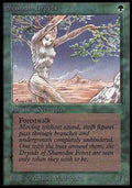 Shanodin Dryads - Beta (Common)