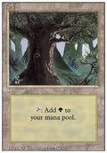 Forest (V.3) - Revised (Land)