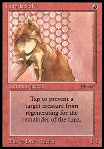 Hurr Jackal - Arabian Nights (Common)