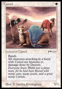 Camel - Arabian Nights (Common)