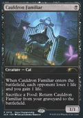 Cauldron Familiar - Store Championship Promos (Rare) [SCH-18]