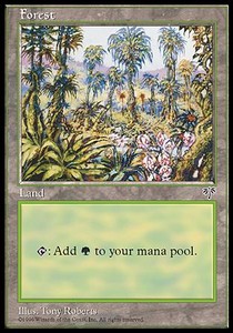 Forest (V.1) - Mirage (Land)