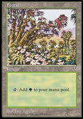 Forest (V.4) - Mirage (Land)
