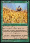Elephant Grass - Visions (Uncommon)