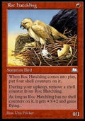 Roc Hatchling - Weatherlight (Uncommon)