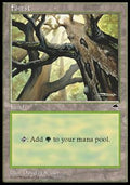 Forest (V.1) - Tempest (Land)