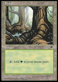 Forest (V.2) - Tempest (Land)