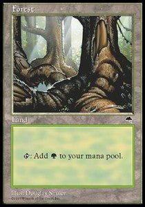 Forest (V.2) - Tempest (Land)