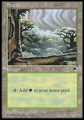 Forest (V.3) - Tempest (Land)
