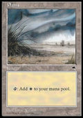 Plains (V.3) - Tempest (Land)