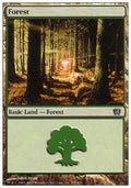 Forest (V.1) - Eighth Edition (Land) [8ED-347]