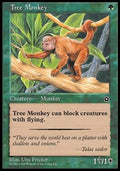 Tree Monkey - Portal Second Age (Common)